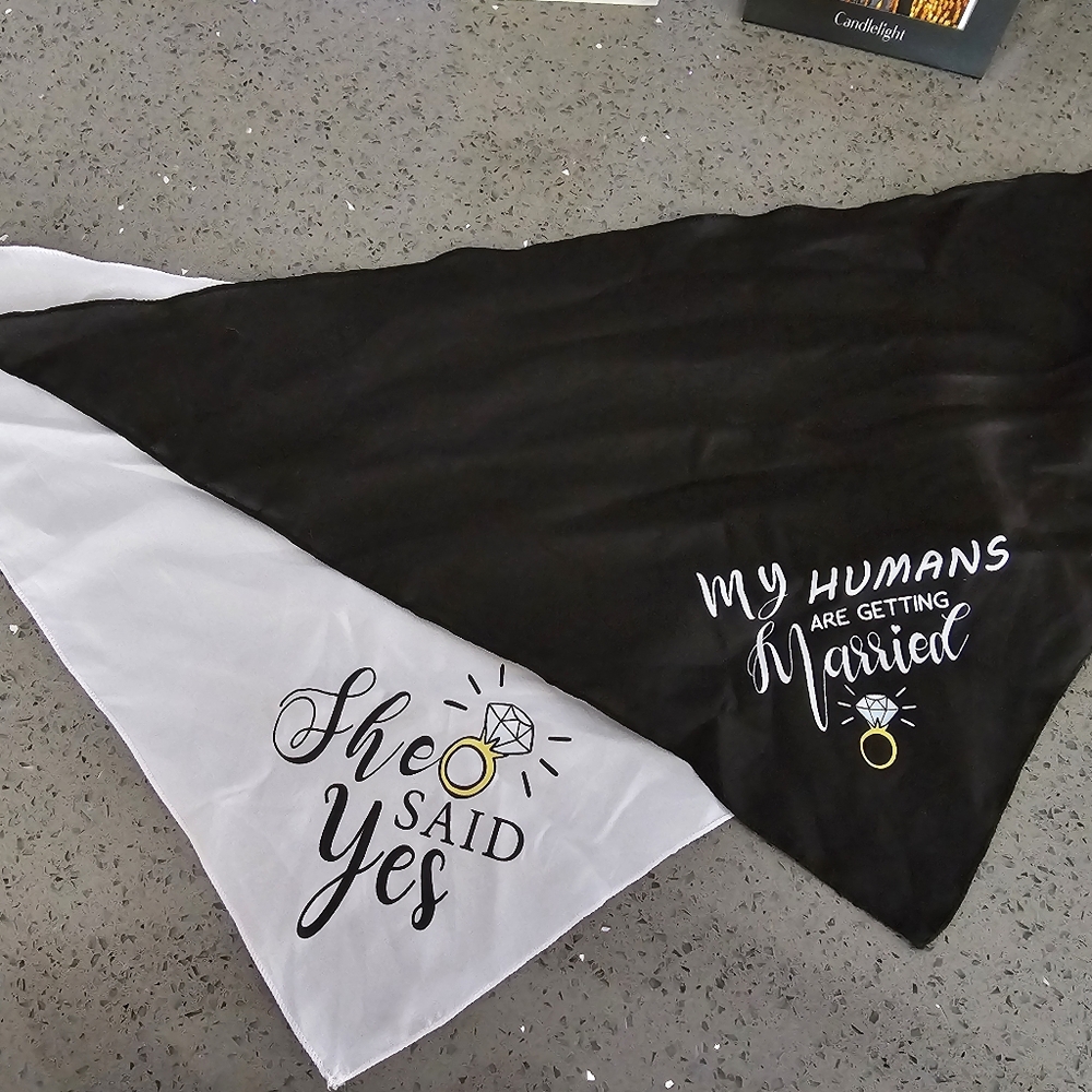 Dog Engagement Bandanas